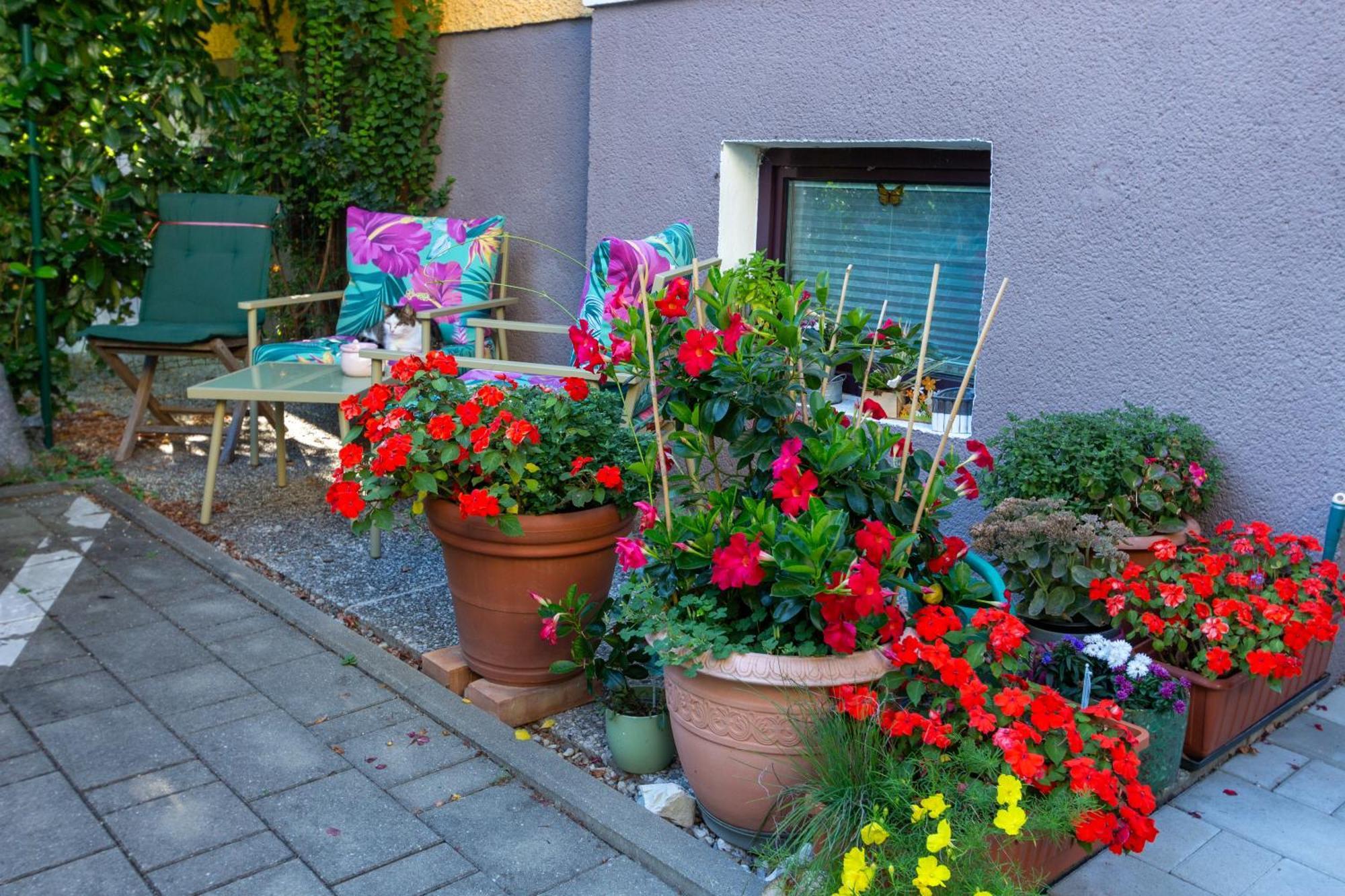 Appartement Benjamins Refugium à Salzbourg Extérieur photo